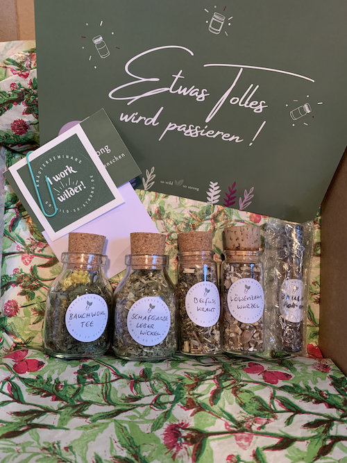 Heilkräuter für Magen, Verdauung, Leber und Galle (24.10.26) – Bild 3