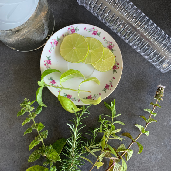 verschiedene Kräuter und Limettenscheiben auf einem Küchentisch zur Zubereitung eines Kräuterwassers
