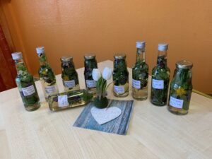 Lecker Wildkräuter-Essig gesammelt beim Kräuter-Spaziergang